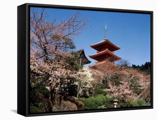 Pagoda at Kiyomizu Temple (Kiyomizudera), Kyoto, Japan-null-Framed Stretched Canvas