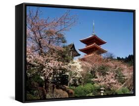 Pagoda at Kiyomizu Temple (Kiyomizudera), Kyoto, Japan-null-Framed Stretched Canvas