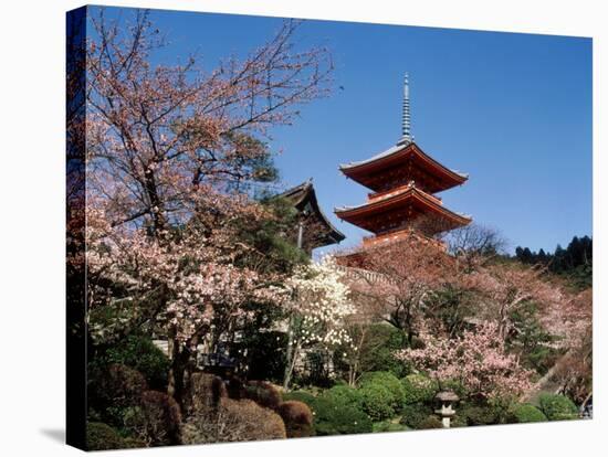 Pagoda at Kiyomizu Temple (Kiyomizudera), Kyoto, Japan-null-Stretched Canvas