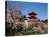 Pagoda at Kiyomizu Temple (Kiyomizudera), Kyoto, Japan-null-Stretched Canvas