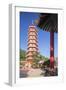 Pagoda at Ten Thousand Buddhas Monastery, Shatin, New Territories, Hong Kong, China, Asia-Ian Trower-Framed Photographic Print