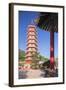 Pagoda at Ten Thousand Buddhas Monastery, Shatin, New Territories, Hong Kong, China, Asia-Ian Trower-Framed Photographic Print