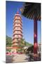 Pagoda at Ten Thousand Buddhas Monastery, Shatin, New Territories, Hong Kong, China, Asia-Ian Trower-Mounted Photographic Print