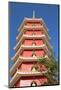 Pagoda at Ten Thousand Buddhas Monastery, Shatin, New Territories, Hong Kong, China, Asia-Ian Trower-Mounted Photographic Print