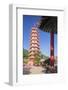 Pagoda at Ten Thousand Buddhas Monastery, Shatin, New Territories, Hong Kong, China, Asia-Ian Trower-Framed Photographic Print