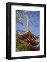Pagoda at Tocho-Ji Temple, Fukuoka, Kyushu, Japan-Ian Trower-Framed Photographic Print