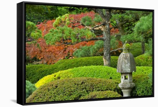 Pagoda, autumn landscape, Portland Japanese Garden, Portland, Oregon, USA-Michel Hersen-Framed Stretched Canvas