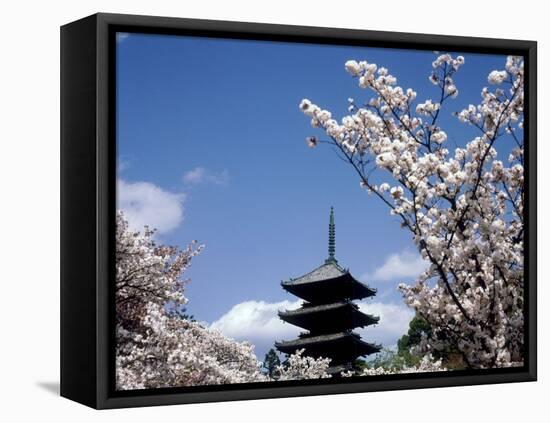 Pagoda & Cherry Blossoms, Kyoto, Japan-null-Framed Stretched Canvas
