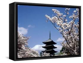 Pagoda & Cherry Blossoms, Kyoto, Japan-null-Framed Stretched Canvas