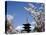 Pagoda & Cherry Blossoms, Kyoto, Japan-null-Stretched Canvas