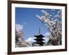 Pagoda & Cherry Blossoms, Kyoto, Japan-null-Framed Photographic Print