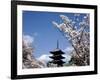 Pagoda & Cherry Blossoms, Kyoto, Japan-null-Framed Photographic Print