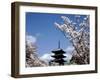 Pagoda & Cherry Blossoms, Kyoto, Japan-null-Framed Photographic Print