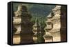 Pagoda Forest Cemetery at Shaoling Temple-Christian Kober-Framed Stretched Canvas