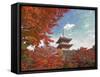 Pagoda in Autumn Color, Kyoto, Japan-Shin Terada-Framed Stretched Canvas