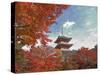 Pagoda in Autumn Color, Kyoto, Japan-Shin Terada-Stretched Canvas