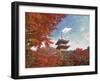 Pagoda in Autumn Color, Kyoto, Japan-Shin Terada-Framed Photographic Print