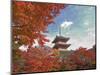 Pagoda in Autumn Color, Kyoto, Japan-Shin Terada-Mounted Photographic Print
