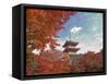 Pagoda in Autumn Color, Kyoto, Japan-Shin Terada-Framed Stretched Canvas
