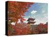 Pagoda in Autumn Color, Kyoto, Japan-Shin Terada-Stretched Canvas