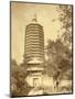 Pagoda in China-John Thomson-Mounted Photographic Print