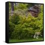 Pagoda in Japanese Tea Garden, San Francisco, California, USA-Anna Miller-Framed Stretched Canvas