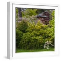 Pagoda in Japanese Tea Garden, San Francisco, California, USA-Anna Miller-Framed Photographic Print