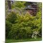 Pagoda in Japanese Tea Garden, San Francisco, California, USA-Anna Miller-Mounted Photographic Print