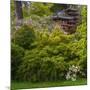 Pagoda in Japanese Tea Garden, San Francisco, California, USA-Anna Miller-Mounted Photographic Print