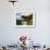 Pagoda in Kunming Garden, Pukekura Park, New Plymouth, Taranaki, North Island, New Zealand-David Wall-Framed Photographic Print displayed on a wall