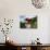 Pagoda in Kunming Garden, Pukekura Park, New Plymouth, Taranaki, North Island, New Zealand-David Wall-Mounted Photographic Print displayed on a wall