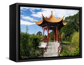 Pagoda in Kunming Garden, Pukekura Park, New Plymouth, Taranaki, North Island, New Zealand-David Wall-Framed Stretched Canvas