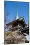 Pagoda in the Cherry Blossom in the Maruyama-Koen Park, Kyoto, Japan, Asia-Michael Runkel-Mounted Photographic Print