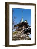 Pagoda in the Cherry Blossom in the Maruyama-Koen Park, Kyoto, Japan, Asia-Michael Runkel-Framed Photographic Print