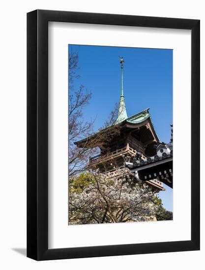 Pagoda in the Cherry Blossom in the Maruyama-Koen Park, Kyoto, Japan, Asia-Michael Runkel-Framed Photographic Print