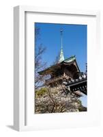 Pagoda in the Cherry Blossom in the Maruyama-Koen Park, Kyoto, Japan, Asia-Michael Runkel-Framed Photographic Print