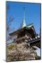 Pagoda in the Cherry Blossom in the Maruyama-Koen Park, Kyoto, Japan, Asia-Michael Runkel-Mounted Photographic Print