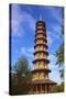 Pagoda, Kew Gardens, UNESCO World Heritage Site, London, England, United Kingdom, Europe-Neil Farrin-Stretched Canvas