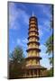 Pagoda, Kew Gardens, UNESCO World Heritage Site, London, England, United Kingdom, Europe-Neil Farrin-Mounted Photographic Print