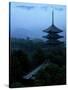 Pagoda of Koufukuji Temple-null-Stretched Canvas