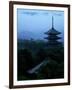 Pagoda of Koufukuji Temple-null-Framed Photographic Print