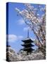 Pagoda of Ninnaji Temple and Cherry Blossoms-null-Stretched Canvas