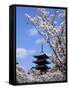 Pagoda of Ninnaji Temple and Cherry Blossoms-null-Framed Stretched Canvas