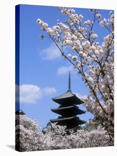 Pagoda of Ninnaji Temple and Cherry Blossoms-null-Stretched Canvas