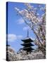 Pagoda of Ninnaji Temple and Cherry Blossoms-null-Stretched Canvas