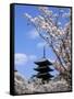 Pagoda of Ninnaji Temple and Cherry Blossoms-null-Framed Stretched Canvas