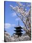 Pagoda of Ninnaji Temple and Cherry Blossoms-null-Stretched Canvas