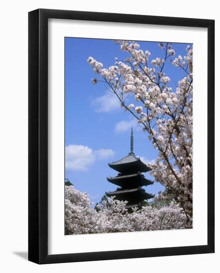 Pagoda of Ninnaji Temple and Cherry Blossoms-null-Framed Premium Photographic Print