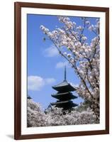 Pagoda of Ninnaji Temple and Cherry Blossoms-null-Framed Photographic Print