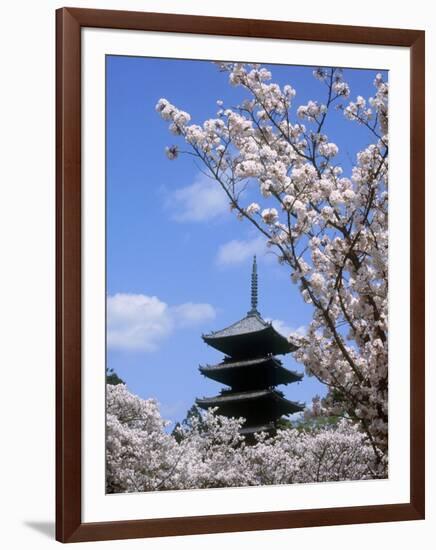 Pagoda of Ninnaji Temple and Cherry Blossoms-null-Framed Photographic Print